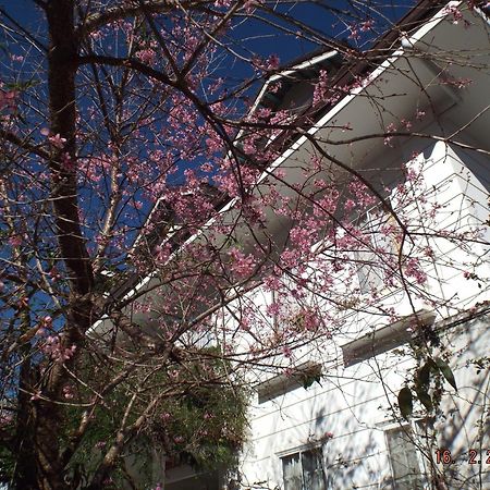 Biet Thu Khanh Lam Da Lat Eksteriør billede